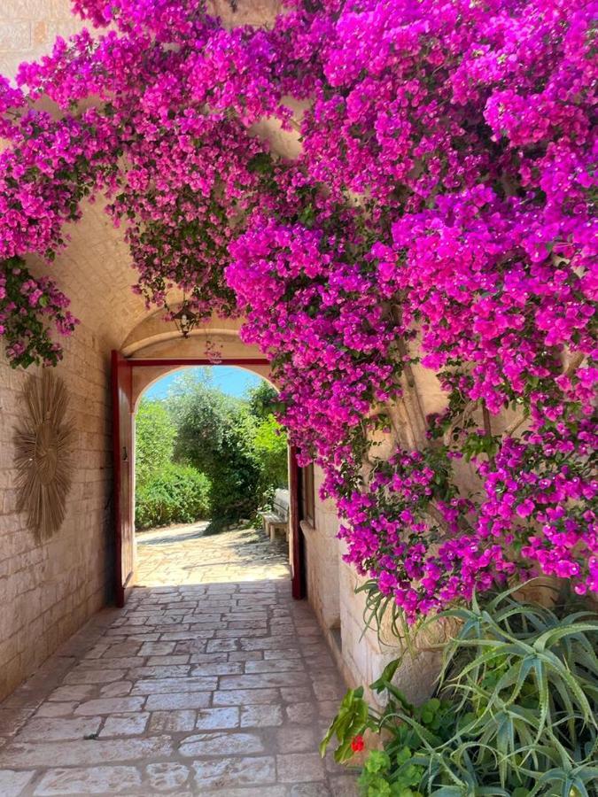 Masseria Morrone Ostuni Eksteriør billede
