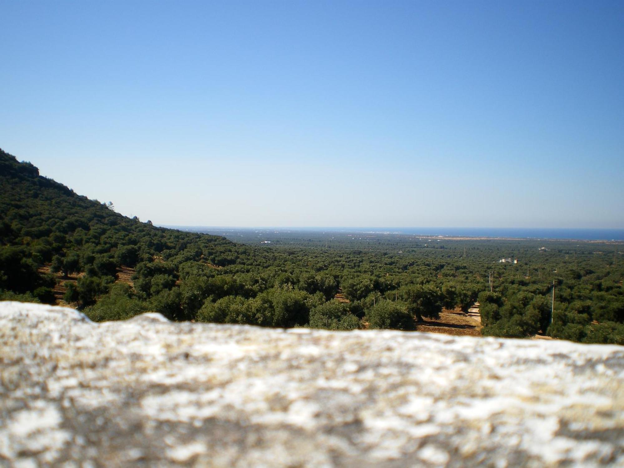 Masseria Morrone Ostuni Eksteriør billede
