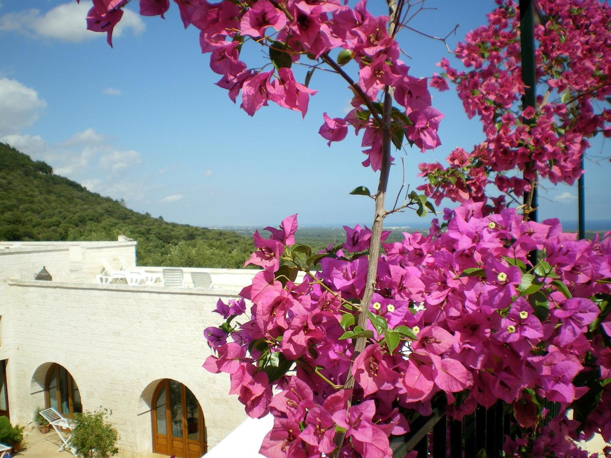 Masseria Morrone Ostuni Eksteriør billede