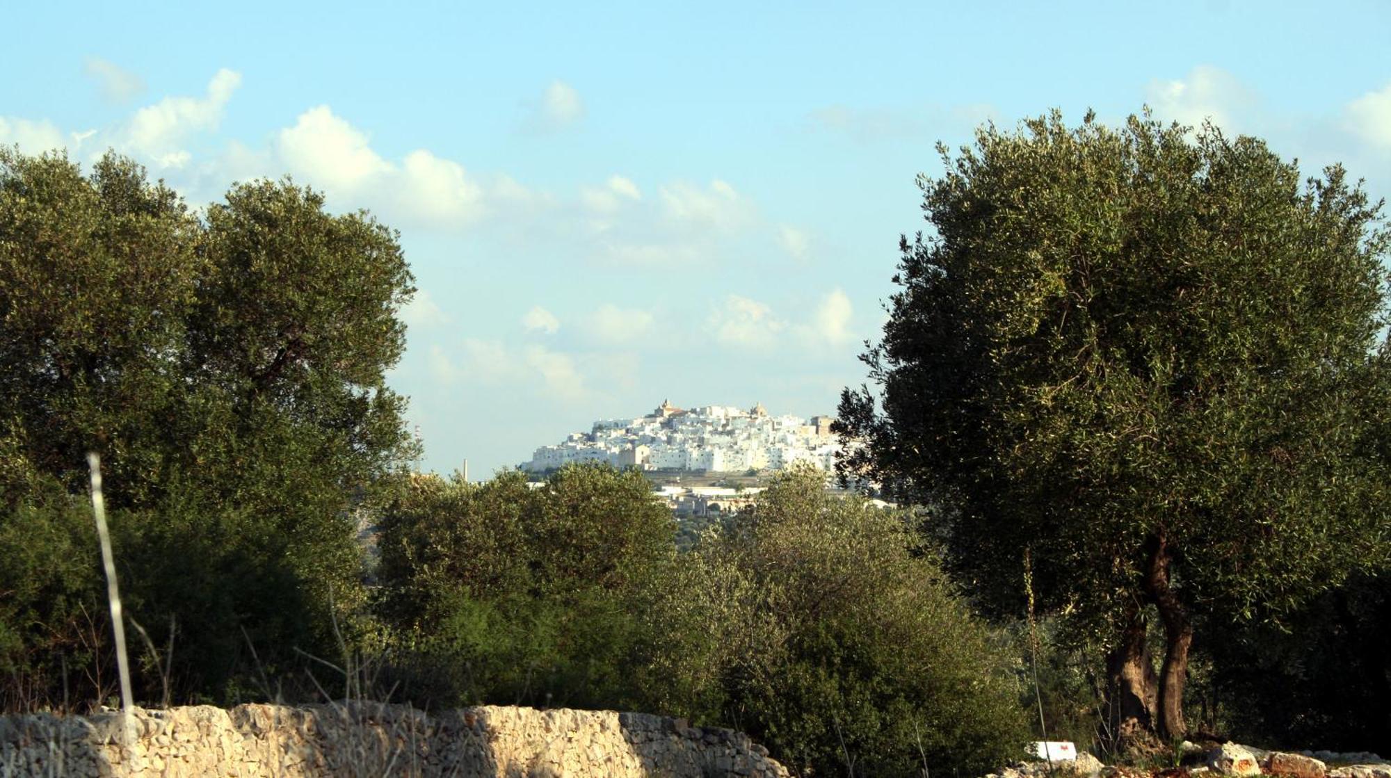 Masseria Morrone Ostuni Eksteriør billede